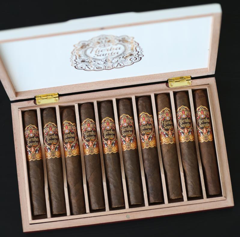 Hierba Santa Robusto 50x5 Hierba Santa Robusto 50x5
