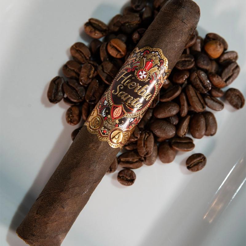 Hierba Santa Robusto 50x5 Hierba Santa Robusto 50x5