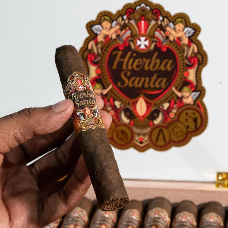 Hierba Santa Robusto 50x5 Hierba Santa Robusto 50x5